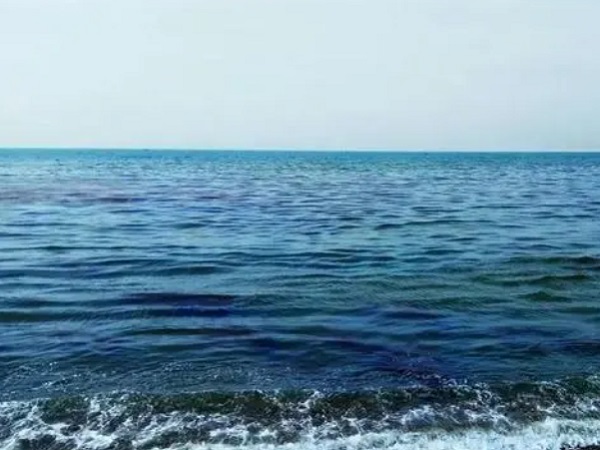 日本核廢水將排海-影響何以估量？